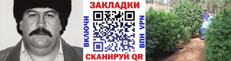 Магазины продажи наркотиков Азнакаево ГАШ  Кокаин  Меф  Канабис 