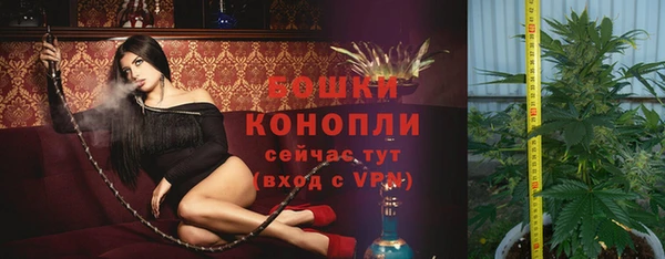 дмт Пенза