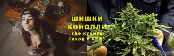 дмт Пенза