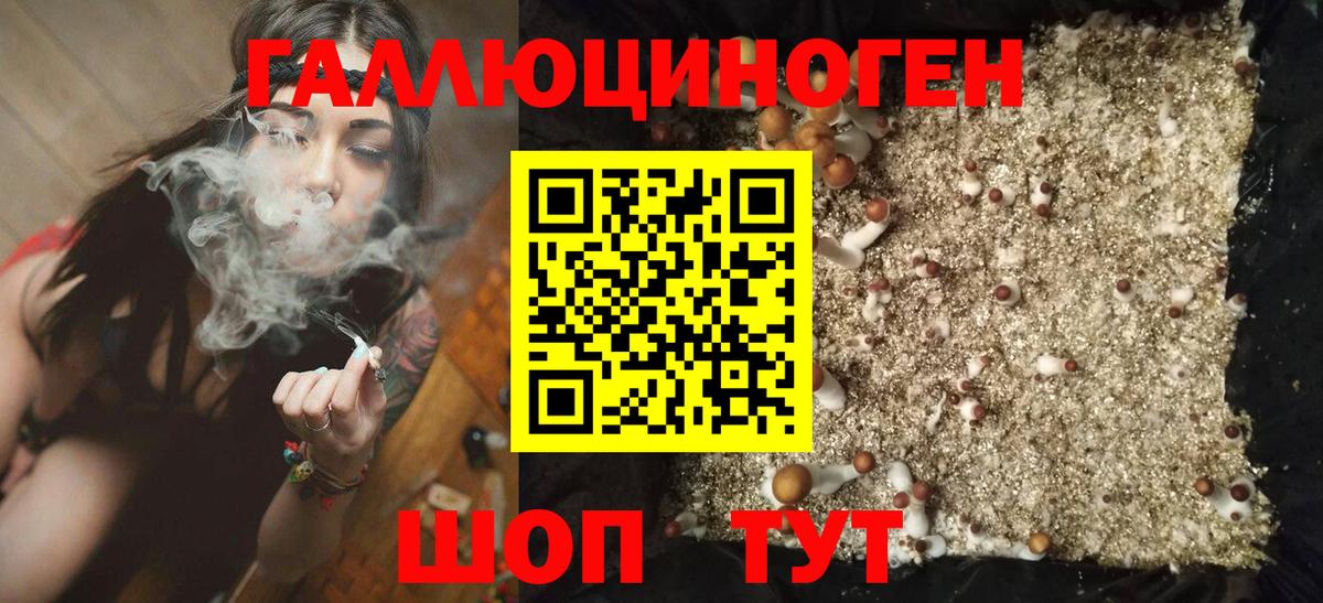 Галлюциногенные грибы MAGIC MUSHROOMS Азнакаево