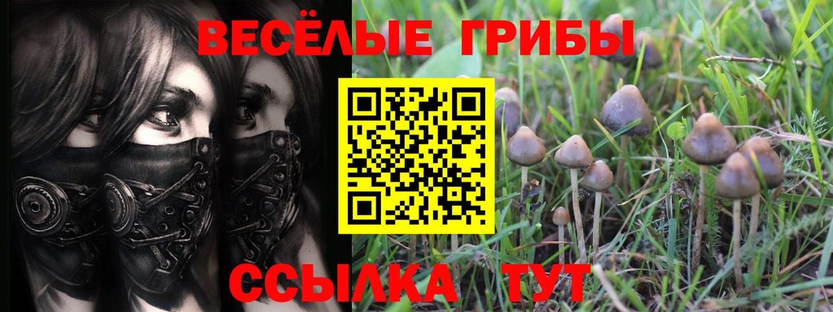 цены наркотик  Галлюциногенные грибы Magic Shrooms  Вход с VPN  Псилоцибиновые грибы MAGIC MUSHROOMS  Азнакаево 