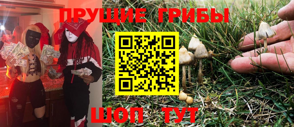 Галлюциногенные грибы MAGIC MUSHROOMS Азнакаево